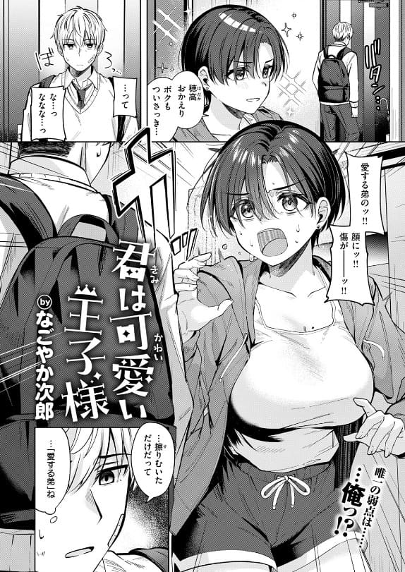 なごやか次郎作 君は可愛い王子様 漫画ビジュアル