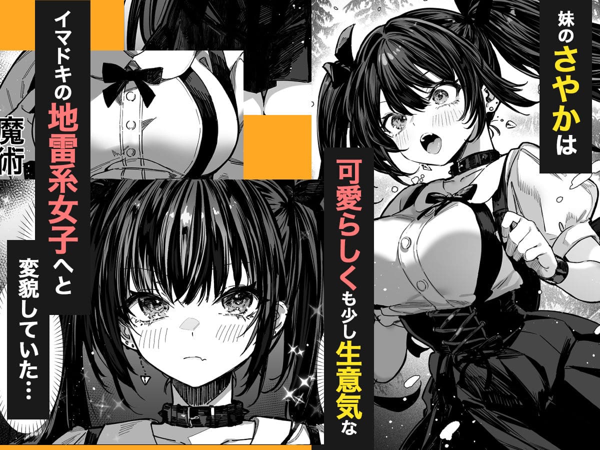 大人向け同人作品「ハメゴト〜姉妹のひみつ〜」のカバー画像（パイレーツキャット作）