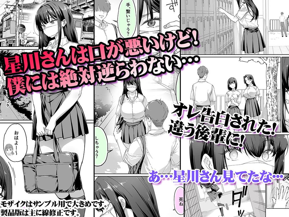 星川さんの魅力が詰まったSTUDIOふあん作品の紹介用イメージ